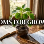 Idioms for Growth