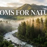 Idioms for Nature